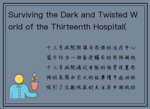 Surviving the Dark and Twisted World of the Thirteenth Hospital(在Thirteenth Hospital中生存的黑暗扭曲世界：一名幸存者的故事)